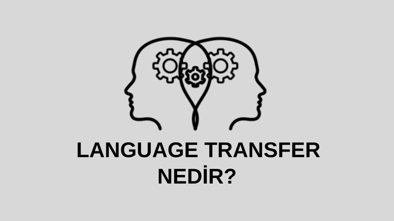 language transfer nedir